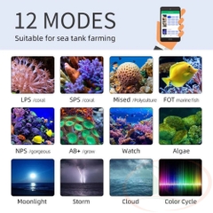 Đèn led biển Week Aqua Z Sea Marine Z400