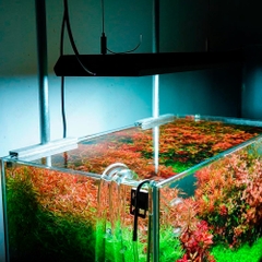 Đèn led Chihiros RGB Vivid 2 Mate Led Light