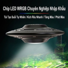 Đèn led rọi KaoKui UFO WRGB KK90 Pro