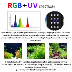 Đèn led Week Aqua New M series Ver.3 RGB UVA