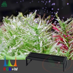 Đèn led Week Aqua New V series Ver.3 WRGB