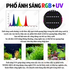 Đèn led Week Aqua RGB UV Pro L series Ver 3.0
