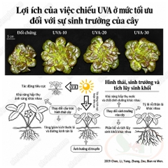 Đèn led Week Aqua RGB UV Pro L series Ver 3.0