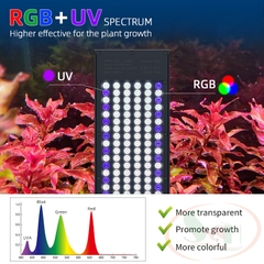 Đèn led Week RGB-UV Pro Z series Z200, Z400