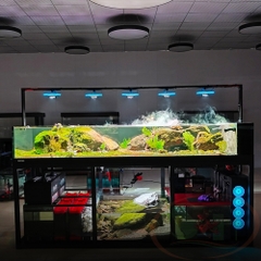 Đèn led rọi UFO Zetlight F8 Pro Max WRGB