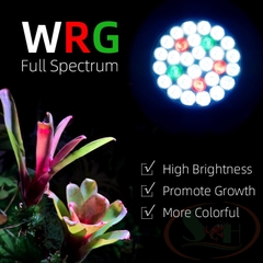 Đèn rọi ray Week WRG Rainforest Light Y series Y30, Y35