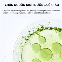 Diệt rêu hại Biozym Algae Remover