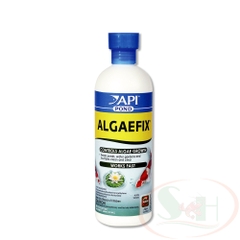 Diệt rêu tảo API Pond AlgaeFix