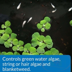 Diệt rêu tảo API Pond AlgaeFix