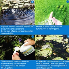 Diệt rêu tảo API Pond AlgaeFix