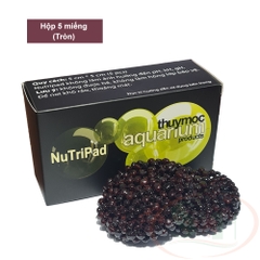 Giá thể trồng cây Thủy Mộc Nutripad