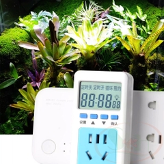 Hẹn giờ điện tử Mius Timer