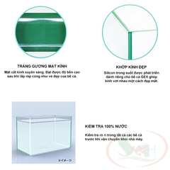 Hồ GEX Glassterior Tank kính siêu trong