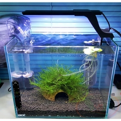 Hồ GEX Glassterior Tank kính siêu trong