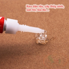 Keo dán KaoKui Instant Gel Glue