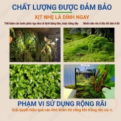 Keo xịt dán rêu Houyi Moss Glue