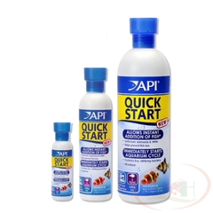 Khởi tạo bể API Quick Start