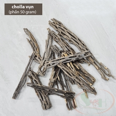 Lũa cholla cactus wood xương rồng