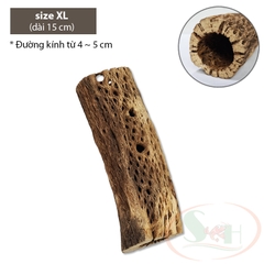 Lũa cholla cactus wood xương rồng