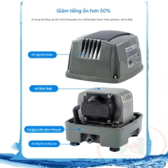Máy sủi oxy Hailea Hi-Blow Air Pump HAP series