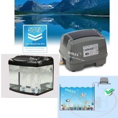 Máy sủi oxy Hailea Hi-Blow Air Pump HAP series