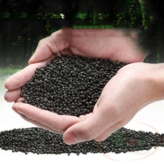 Nền Gex Xanh Water Plant Sand
