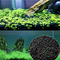 Nền Tropica Aquarium Soil