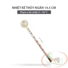 Nhiệt kế thủy ngân hít thành hồ