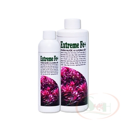 Phân nước PTV Extreme Fe