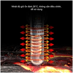 Sưởi QuanLong Mini Heating Rod 25W, 50W