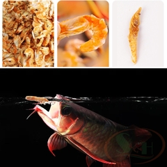 Thức ăn cá Biozym Dried Shrimp