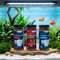 Thức ăn cá Multi Color Butterfly Carp Super Red