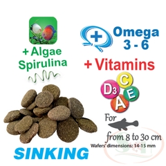 Thức ăn cá Prodac Algae Wafers tầng đáy