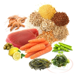 Thức ăn cá Prodac Algae Wafers tầng đáy