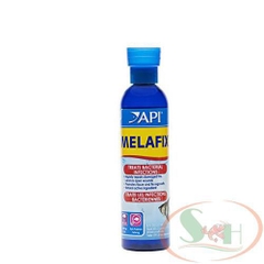 Thuốc trị khuẩn API Melafix