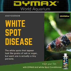 Trị đốm trắng Dymax Anti White Spot