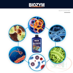 Vi sinh nước Biozym Nitrifying Bacteria