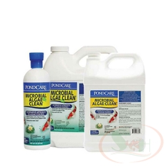 Xử lý tảo API Microbial Algae Clean