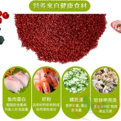 Thức ăn cá dĩa Biozym Discus Food