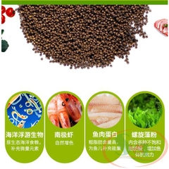 Thức ăn cá biển Biozym Marine Fish Food