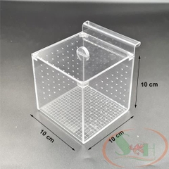 Box mica Taiwan dưỡng cá tép