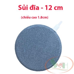 Đĩa đá xám dẹp sủi oxy mịn 4cm, 6cm, 8cm, 10cm, 12cm, 15cm