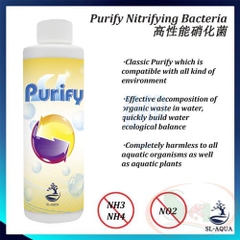 Vi sinh nước SL-Aqua Purify Nitrifying Bacteria