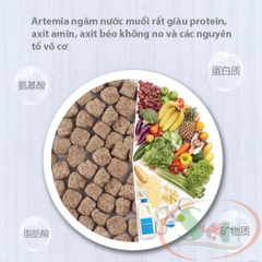 Sunsun Frozen Dry Shrimp Food