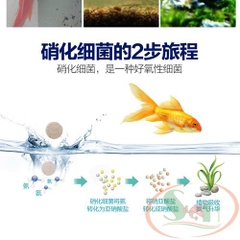 Vi sinh viên nén Sunsun Nitrifying Bacteria Tablet