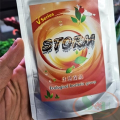Vi sinh bột kích tảo VIN Storm Ecological Bacteria Group