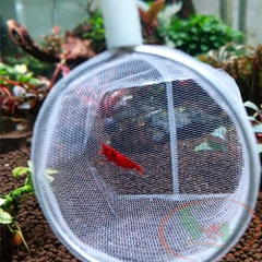 VỢT TÉP TAIWAN LƯỚI CỨNG HANDMADE