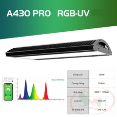 Đèn led Week RGB-UV Pro A series A430