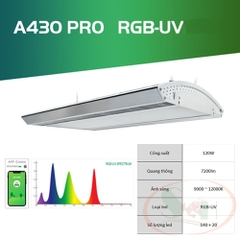 Đèn led Week RGB-UV Pro A series A430