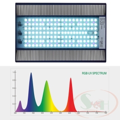 Đèn led Week RGB-UV Pro A series A430